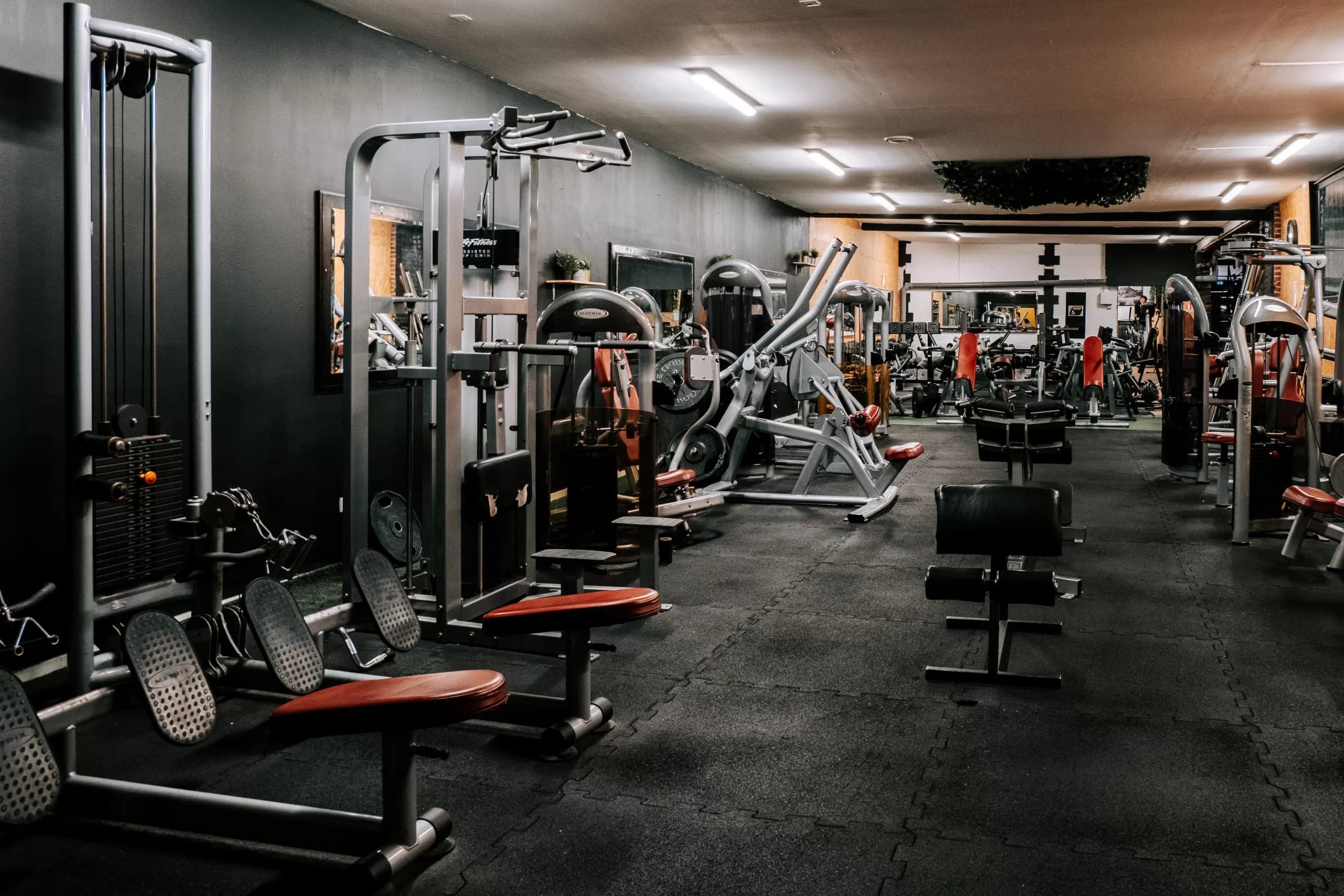 Musculation